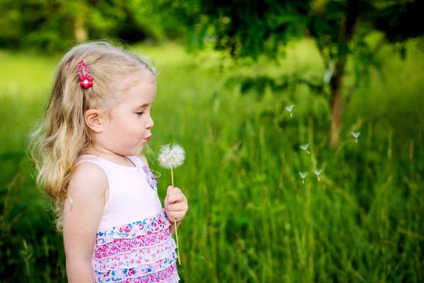 Чарівна маленька дівчинка дме з кульбаби — стокове фото