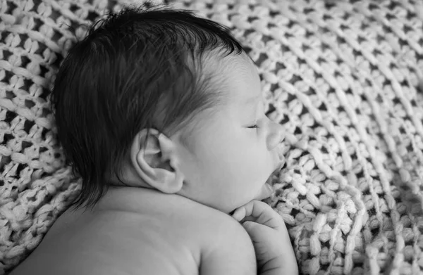 Stående söt newborn baby sover — Stockfoto