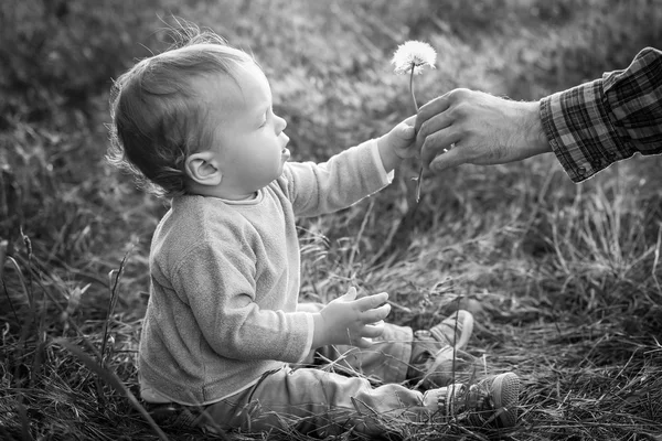 Cute Toddler boy looks at the nature — Stock Photo, Image