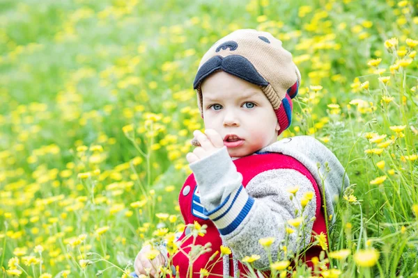 Cute toddler boy plucks flowers — Stock Photo, Image