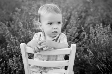 Toddler bebek çocuk bir lavanta alanda 