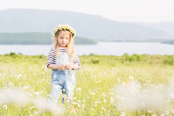 Милая маленькая девочка на ромашнем поле — стоковое фото