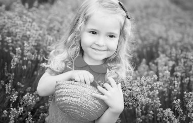 mutlu küçük kız lavanta alanıdır 