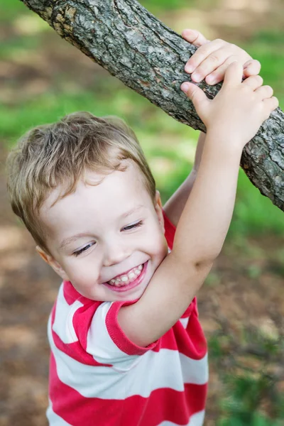 Happy toddler boy on a tree — Stockfoto