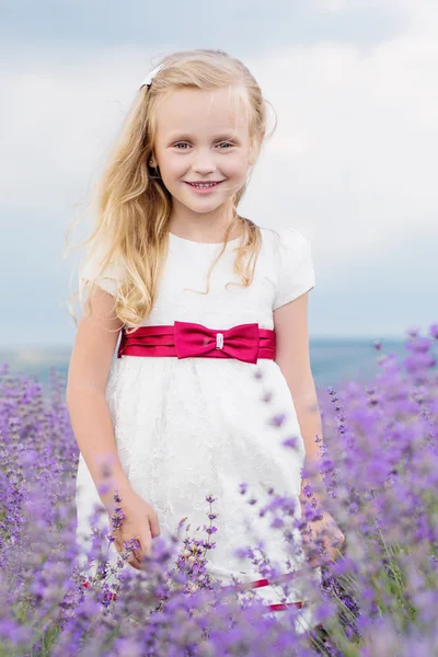 Söt liten flicka ska en lavendel — Stockfoto