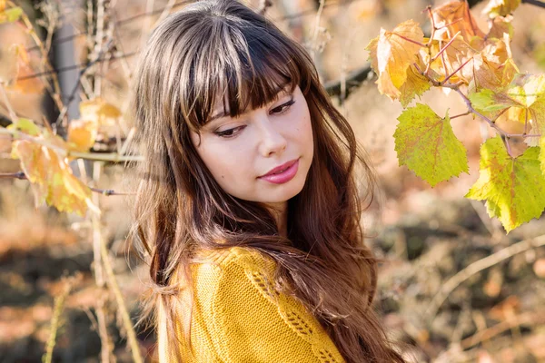 Retrato de otoño de una joven — Foto de Stock