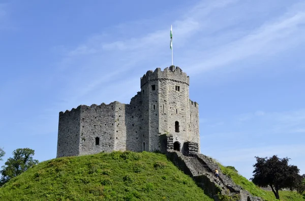 Cardiff castle Royaltyfria Stockfoton