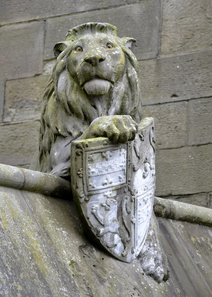 Dierlijke muur van Cardiff — Stockfoto