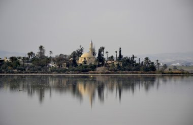 hala sultan tekke Kıbrıs