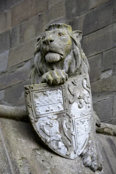 Dierlijke muur van Cardiff — Stockfoto