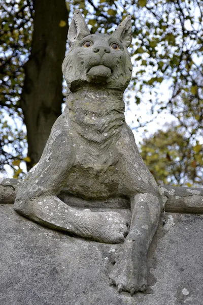 Pared animal de Cardiff — Foto de Stock