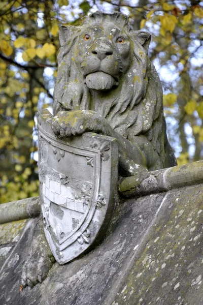 Dierlijke muur van Cardiff — Stockfoto