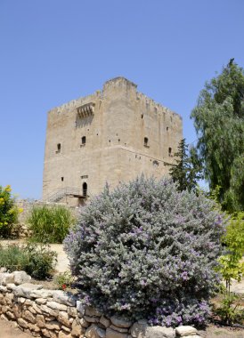 Mimari Inn'in Castle