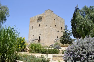 Mimari Inn'in Castle