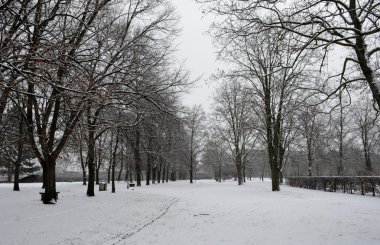 Donmuş park yolundan
