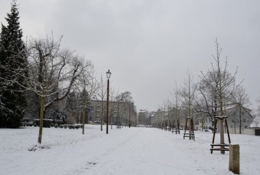 Donmuş park yolundan