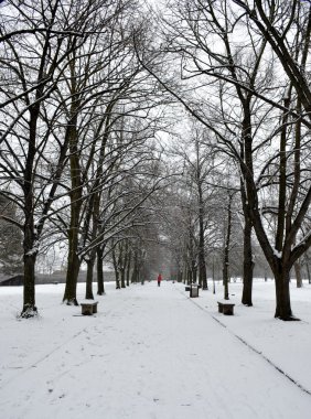 Donmuş park yolundan