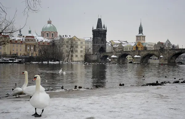 Oude gebouwen uit Praag — Stockfoto