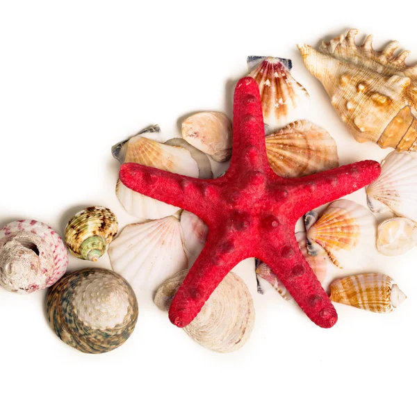 Una estrella de mar roja y varias conchas marinas tumbadas en la arena — Foto de Stock