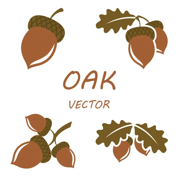 Lapos tölgy vektoros ikonok beállítása — Stock Vector