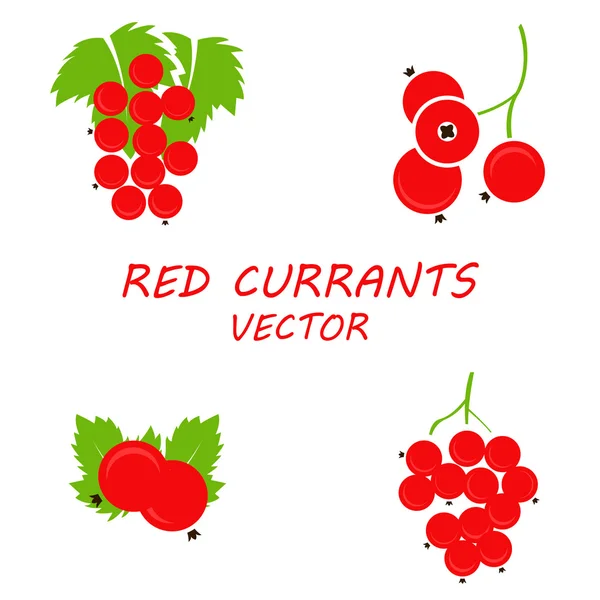 Ensemble d'icônes de groseilles rouges plates vectorielles — Image vectorielle