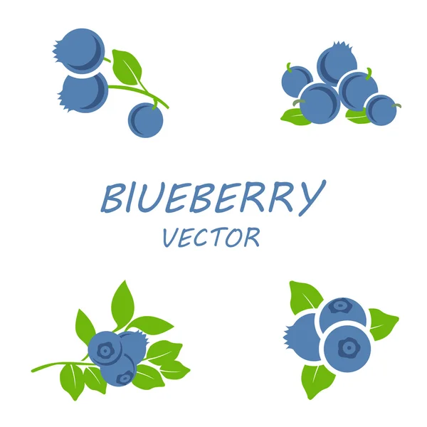 Vector flat blueberry icons set — Stock Vector