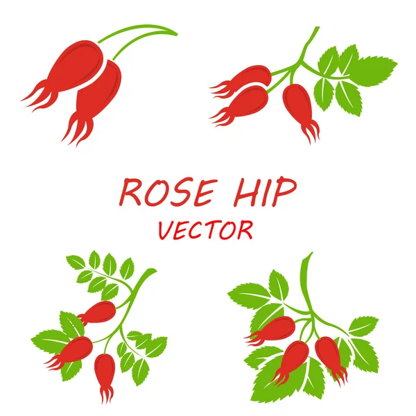 Ensemble d'icônes de hanche rose plat vectoriel — Image vectorielle