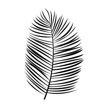 Vektör yeşil palmiye yaprağı