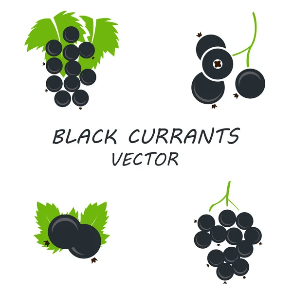 Набор значков векторной плоской черной смородины — стоковый вектор