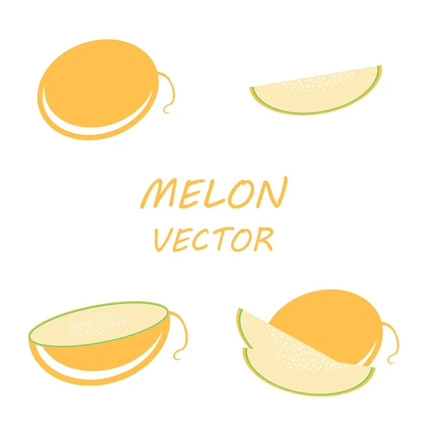 Ensemble d'icônes de melon plat vectoriel — Image vectorielle