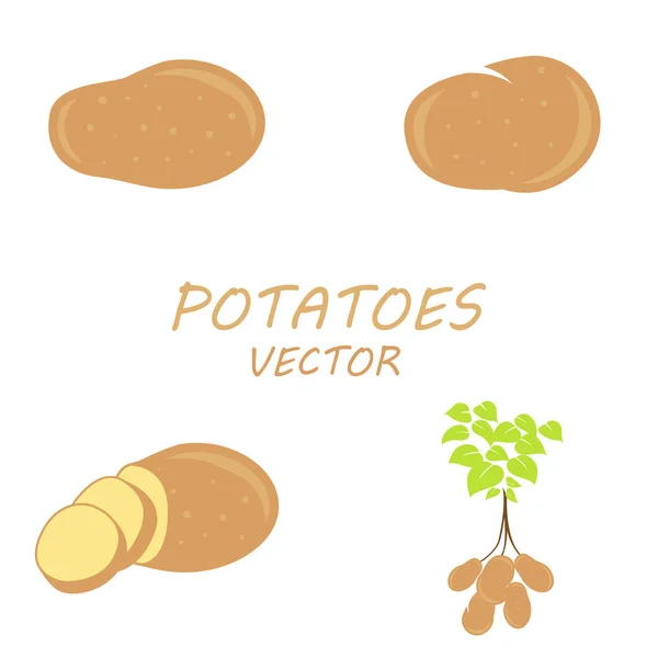 Vektor Kartoffeln Symbole gesetzt — Stockvektor