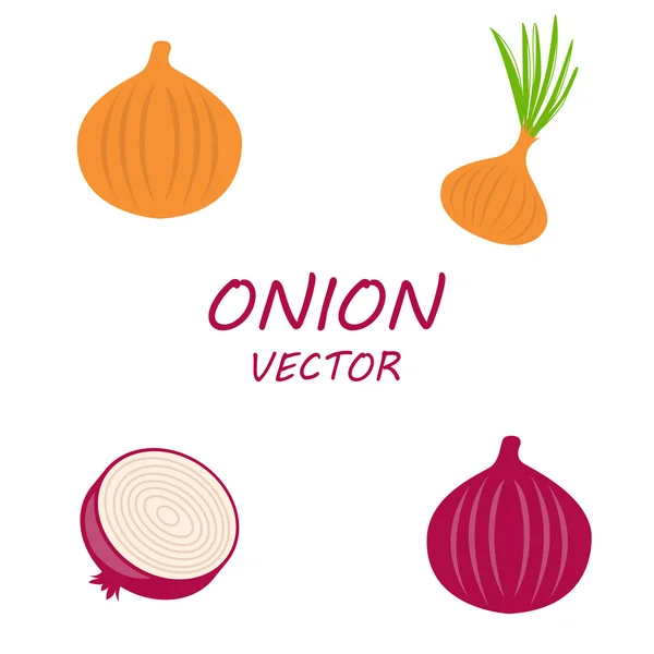 Vector lök ikoner set — Stock vektor