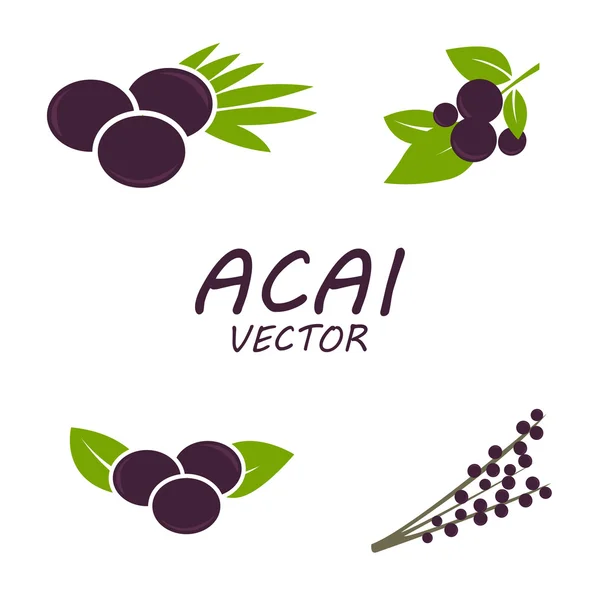 Vektör Acai Icons set