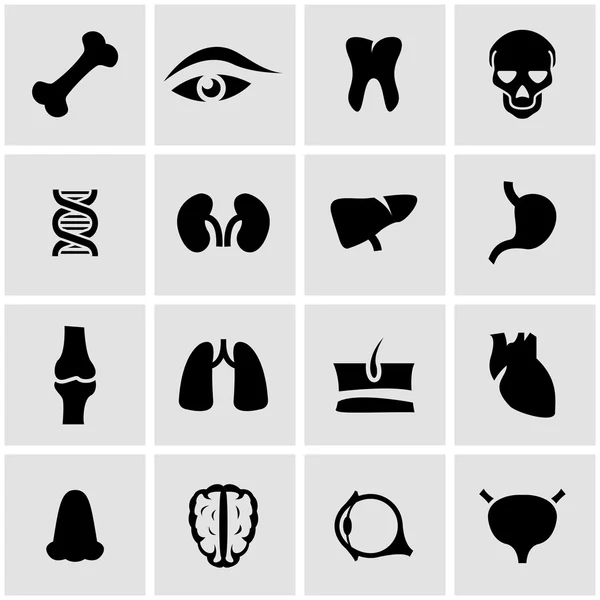 Conjunto de iconos de anatomía negra vectorial — Vector de stock