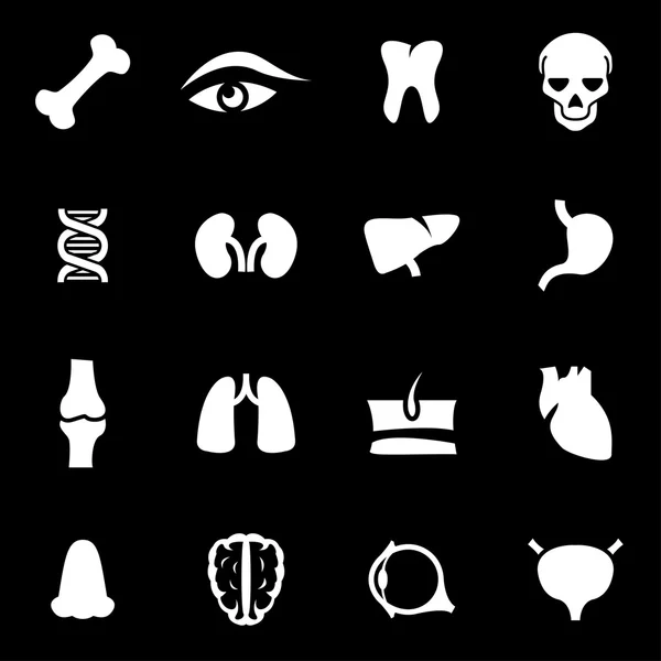 Vektor weiße Anatomie Icon Set — Stockvektor