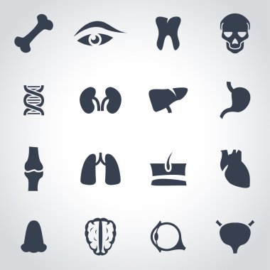Vektör siyah anatomi Icon set