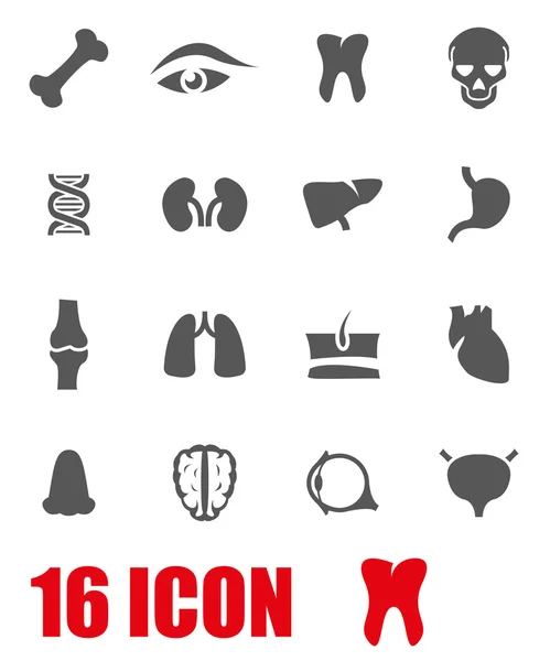 Set de iconos de anatomía vectorial gris — Archivo Imágenes Vectoriales