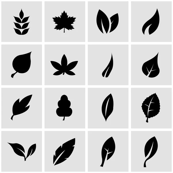 Ensemble d'icônes à feuilles noires vectorielles — Image vectorielle