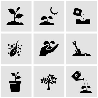 Büyüyen siyah vektör Icon set