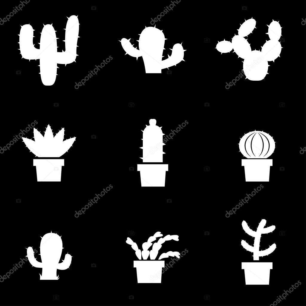 Vector white cactus icon set