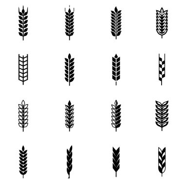 Vektör siyah buğday kulak Icon set