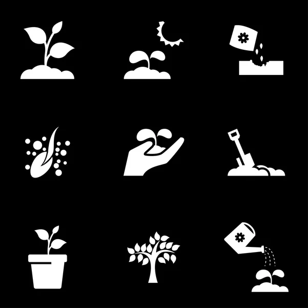 Vector white growing icon set — 스톡 벡터