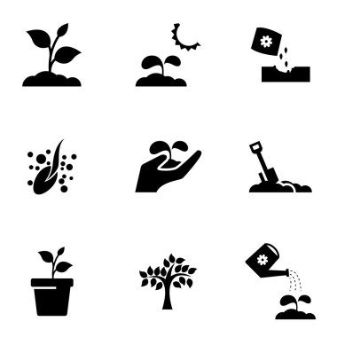 Büyüyen siyah vektör Icon set