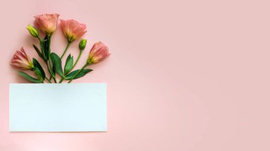 Bir yaprak kağıt ve çiçek dalı, kopyalama alanı. Selamlaşmak için boş alan. Yumuşak odak