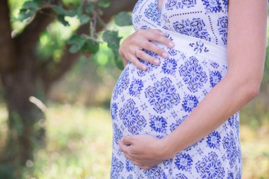 Bir alandaki genç güzel bir hamile kadın