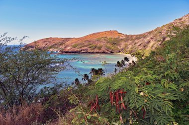 Doğal görünümü Hanauma Bay, Hawaii