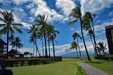 Mavi, gök ve avuç içi West Maui en ünlü Kaanapali Beach, Hawaii sallanan ile mavi okyanus,
