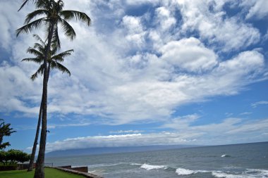 Mavi, gök ve avuç içi West Maui's Kaanapali Beach, Hawaii, ABD sallanan ile mavi okyanus