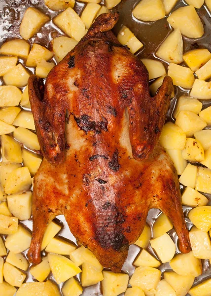 Roast duck with potatoes — Stock Photo, Image