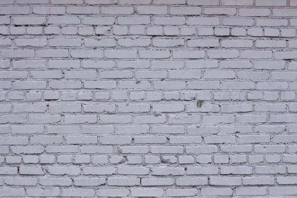 Brick wall background — Stock Photo, Image